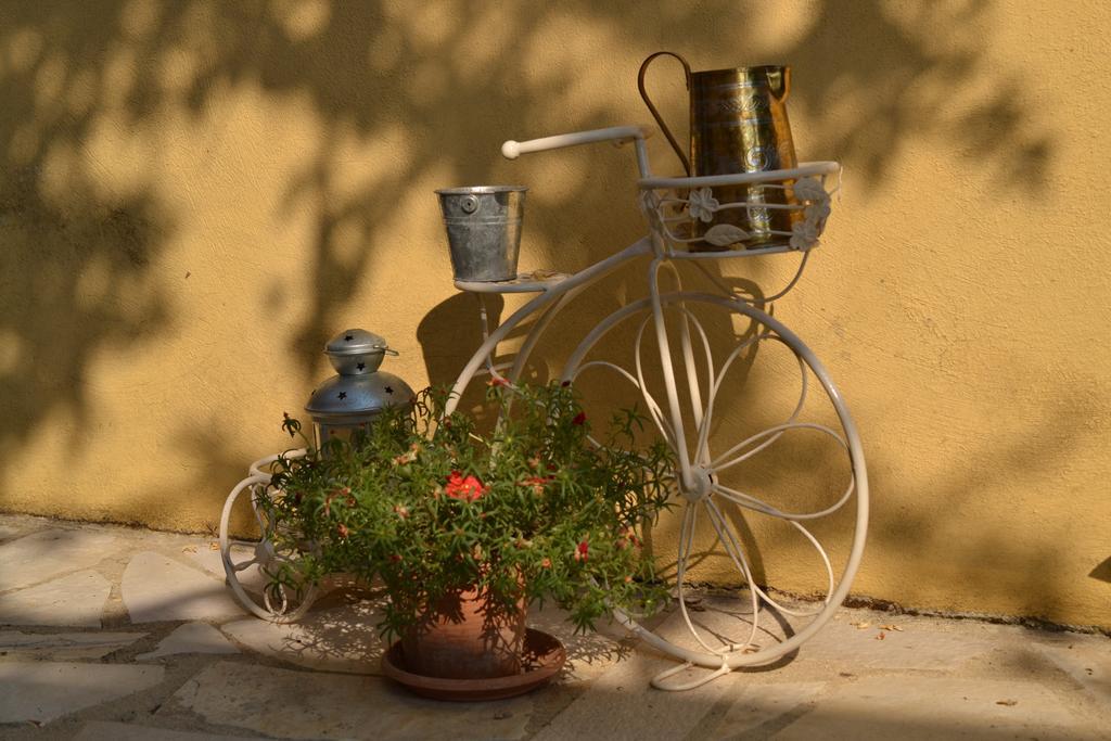 Appartement Alkyon *