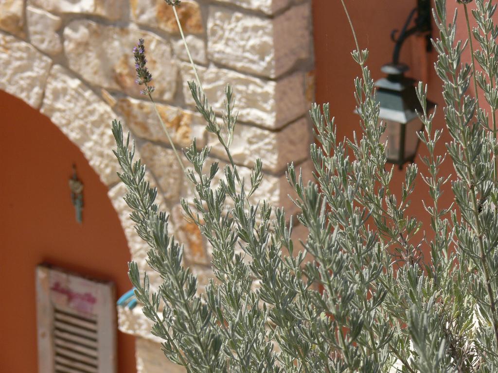 Apartment Alkyon Sivota (Epirus)