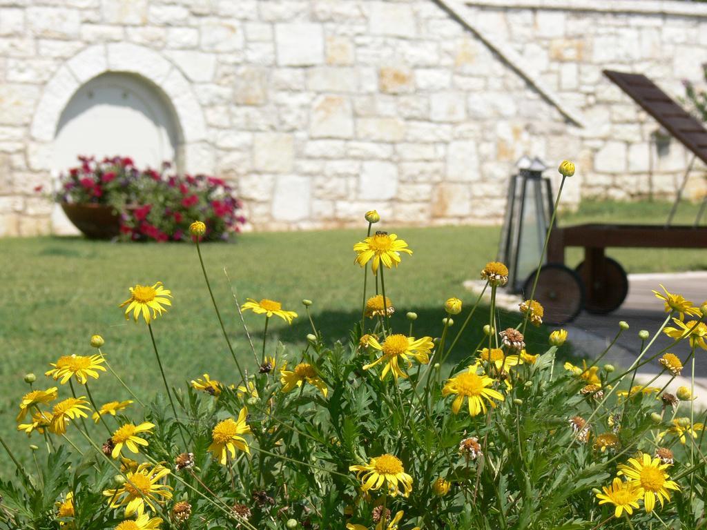 Alkyon * Sivota (Epirus)