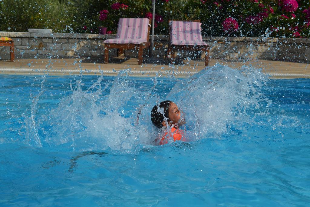 Alkyon * Sivota (Epirus)